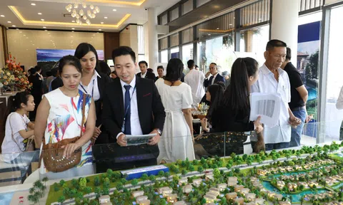 Căn hộ du lịch tại Novabeach Cam Ranh đã chinh phục khách hàng như thế nào?