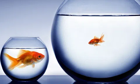 Chọn “ngách” nào cho phòng khám thẩm mỹ