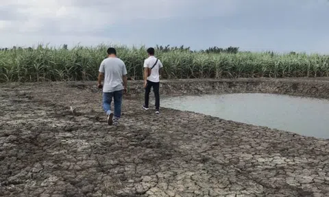 Cạn nguồn hàng, nhiều môi giới bất động sản chuyển nghề đi livestream dạo