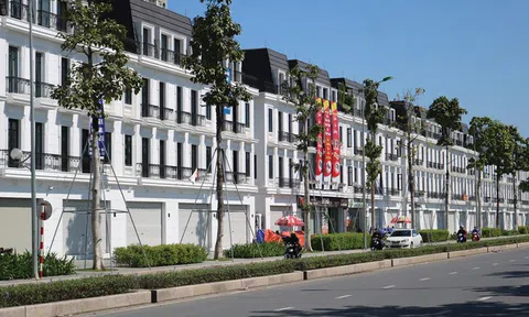 Nhiều nhà đầu tư shophouse vỡ mộng