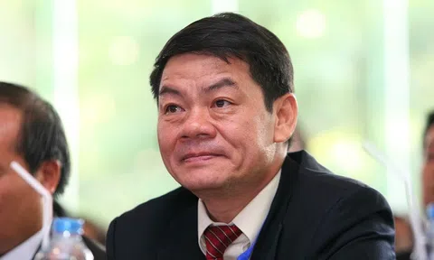 Cánh chim đầu đàn trên vùng cát trắng