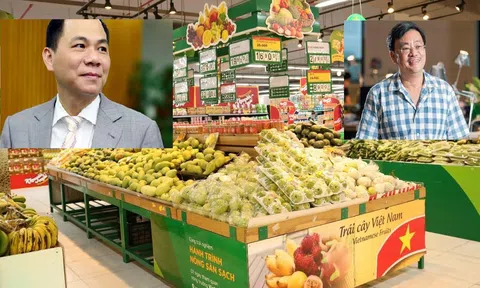 Vingroup 'gả bán' Vinmart và VinEco: Tại sao lại là Masan?