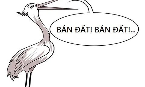 Bộ Xây dựng lên tiếng về tình trạng 'cò đất' làm náo loạn thị trường