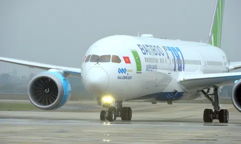 Bamboo Airways giải thích việc hủy chuyến bay do tỷ phú Phạm Nhật Vượng tài trợ đưa người Việt và Ukraine về nước