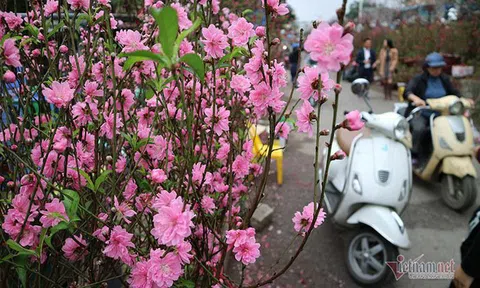 Giờ đẹp, hướng đẹp xuất hành đón tài lộc ngày mùng 1 Tết Canh Tý