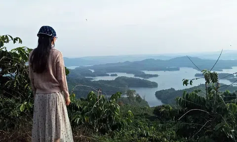 Kiếm 1 tỷ/tháng, bà chủ trung tâm tiếng Anh bỏ Hà Nội về quê làm nông