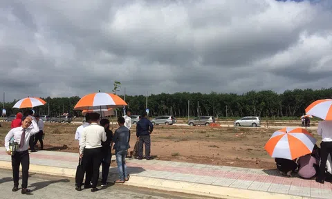 Chuyên gia Đặng Hùng Võ: Đừng say sưa với đất nền, kiếm tiền dễ nhưng hệ luỵ nhiều!