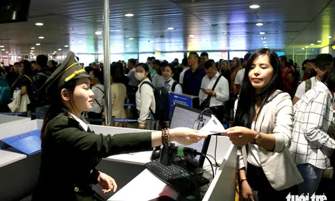 Chim, sóc, cá cảnh giá ngàn đô 'hiện nguyên hình' khi qua an ninh sân bay