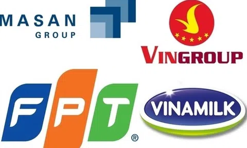 Những doanh nghiệp Việt lội ngược dòng thâu tóm ‘đại gia’ ngoại