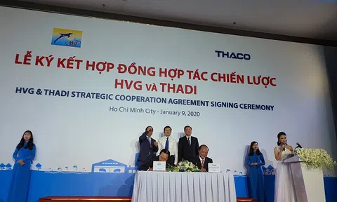 Ông Trần Bá Dương chi 2.000 tỷ nuôi heo cùng Hùng Vương