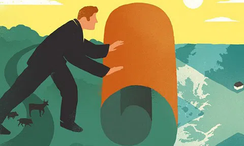 Có cứng mới đứng được đầu gió, 4 bài học chân lý nếu ngộ ra được thì dù kém cỏi tới đâu cũng vẫn có thể đổi đời