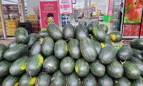 ‘Siêu thị muốn giải cứu nông sản nhưng không biết tìm hàng ở đâu’