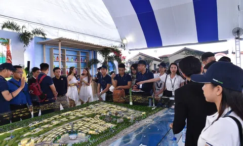 Novaland công bố báo cáo tài chính Quý 04, hoàn thành kế hoạch lợi nhuận sau thuế 2019