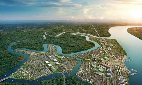 Ưu đãi đặc biệt dành riêng cho cổ đông Novaland.