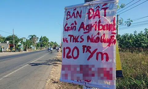 Kiểu đặt cọc bất thường khi sốt đất