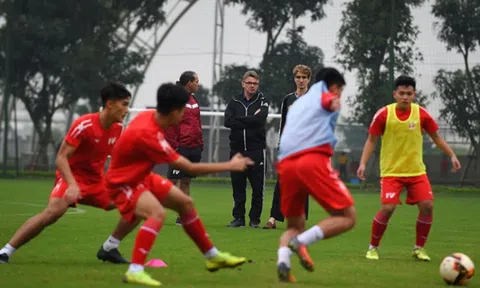 Báo Thái nói gì về tham vọng đưa đội tuyển Việt Nam dự World Cup của tỷ phú Phạm Nhật Vượng?