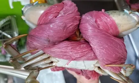 Xài 1,5kg dây bự chảng để trói… 6 con cua bé bé