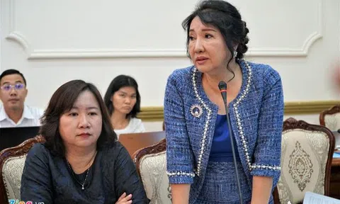 Bà Như Loan: 'Đối tác liên doanh nản vì dự án 3 năm chưa xong thủ tục'