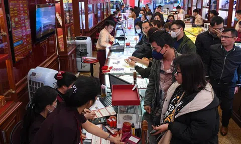 Mang 50 cây vàng bán chốt lời ngày giá đạt đỉnh