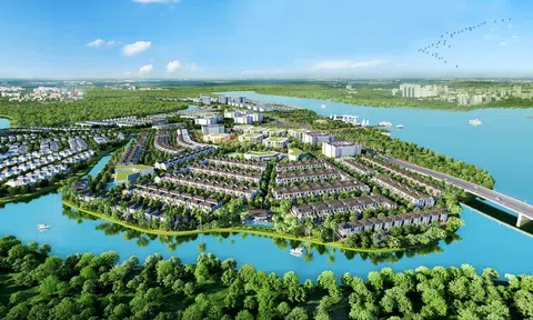 Lý do các dòng sản phẩm của Novaland thu hút đầu tư quốc tế