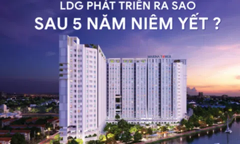 LDG phát triển ra sao sau 5 năm niêm yết?