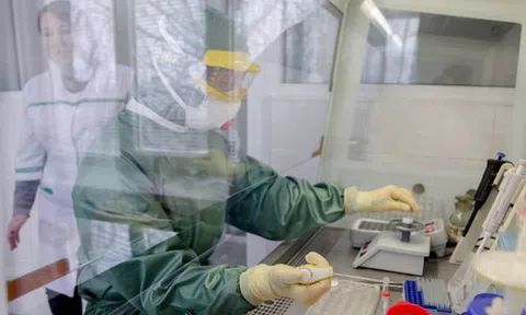 Giới khoa học Trung Quốc tiết lộ bất ngờ về nguồn gốc virus corona