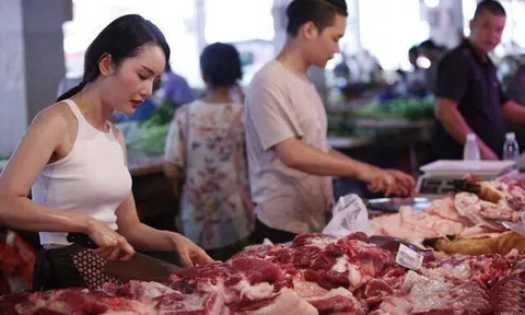 Bỏ việc văn phòng đi bán thịt lợn