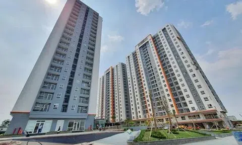 Môi giới bất động sản 'kiêm' lừa đảo bán chung cư