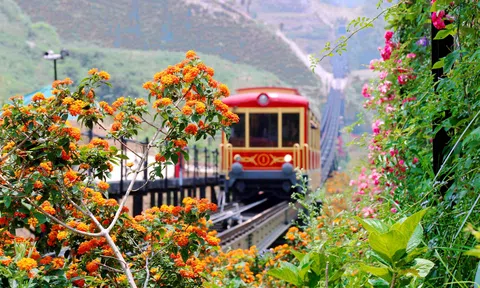 Phía sau những không gian xanh giữa lưng chừng trời