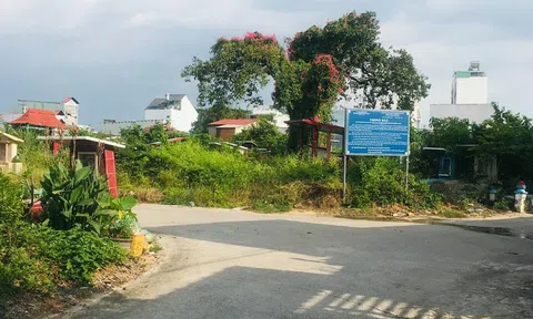 Phát sợ mùa bốc mộ: mùi tử thi xộc thẳng vào nhà