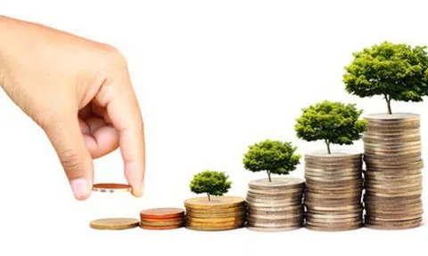 Có 600 triệu muốn ôm mộng làm giàu, chàng cử nhân Hóa không biết nên đầu tư vào đâu