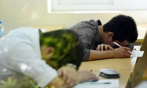 'Có trí tuệ như Bill Gates hãy bỏ học làm giàu'