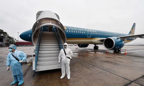 Vietnam Airlines sẽ thay Bamboo Airways đưa người Việt từ Ucraina về nước