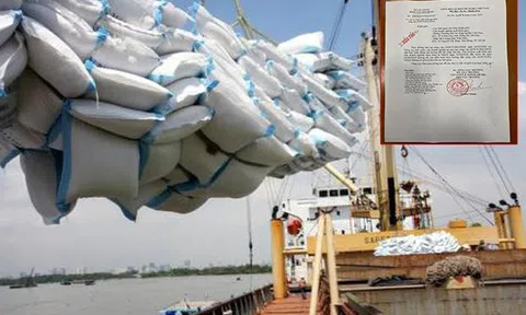 Xuất khẩu gạo: Phát hiện hàng loạt tờ khai không có giá trị