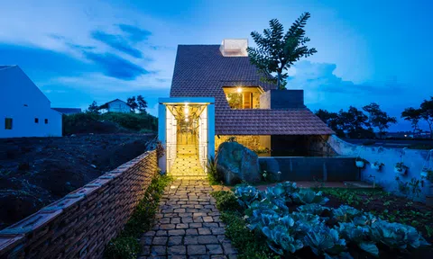 Thu nhập 30 triệu, vợ trẻ vẫn đòi bỏ phố về quê vì lý do này