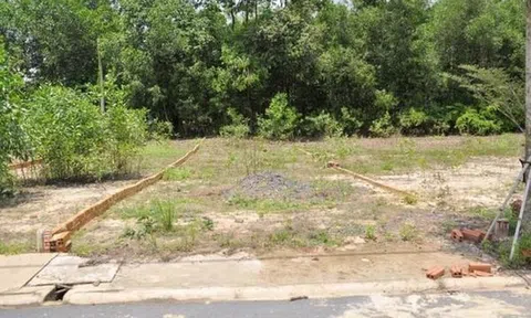 Chàng rể băn khoăn có nên xây nhà trên đất của bố mẹ vợ cho?