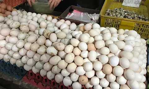 Trứng gà rẻ hơn rau, phá sản vì cảnh cả đời chưa từng có