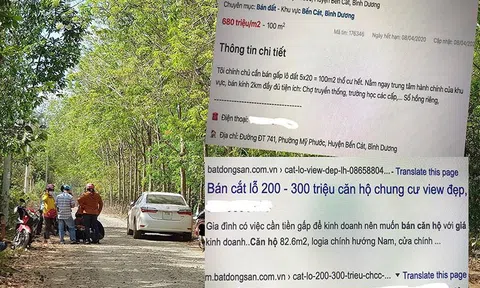 Cảnh giác chiêu rao bán gấp nhà, đất để cắt lỗ