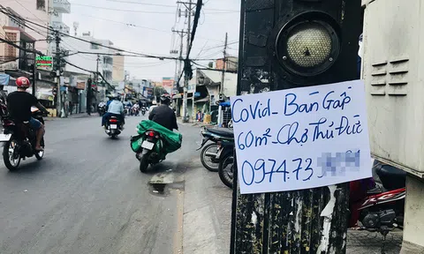 Bán tháo, cắt lỗ sốc 1 tỷ đồng mùa dịch: Cẩn thẩn sập bẫy cò môi giới!