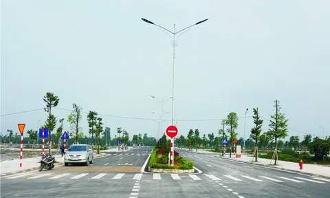 Có 200 triệu mua 50m² đất liền kề ở quê, 3 năm sau mua nhà thành phố