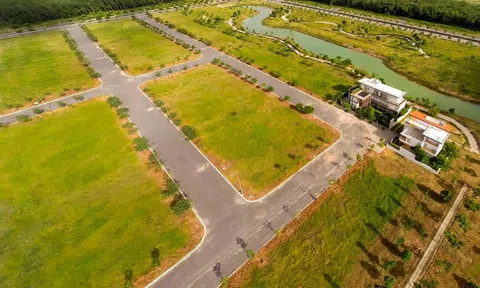 Dốc sạch vốn liếng vào đất rồi ôm nợ vì tư tưởng '1 vốn 4 lời'