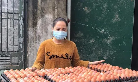 Tình hình bi đát, người chăn nuôi phải tiêu hủy trứng gà