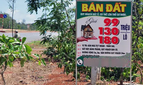 'Tổ mối' đầu cơ đất