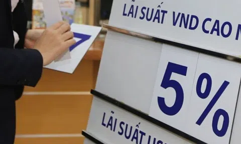 Ngân hàng nào đang trả lãi tiết kiệm cao nhất?