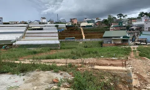 Tiền học một năm của con tôi 'mua được cả mẫu đất ở Lâm Đồng'