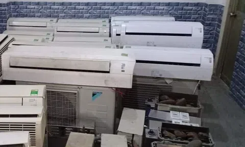 Kinh doanh theo trend mùa dịch "hốt bạc" như... trúng số