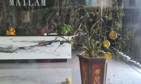 Giám đốc "mất tích" cùng 900 tỷ: Thêm nhiều nạn nhân, có người mất 170 tỷ