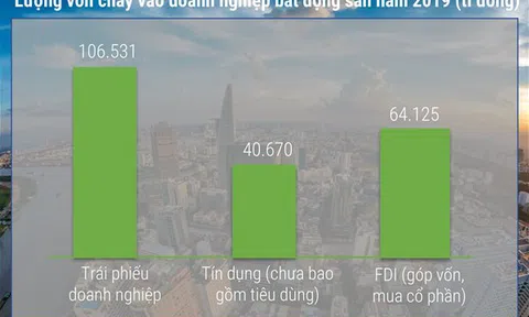 Siết trái phiếu, thắt tín dụng: Bất động sản 2020 khó chồng khó