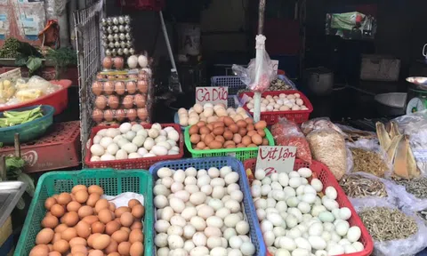 Tránh dịch, khách mua... 250 quả trứng vịt lộn, người bán đếm còng lưng