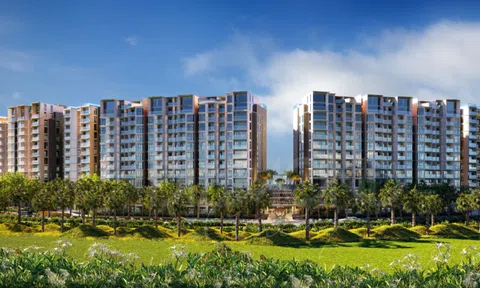 TP.HCM chỉ đạo chuyển đổi căn hộ trung, cao cấp tồn kho sang phân khúc bình dân